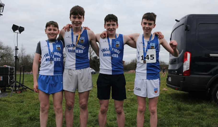 Leinster Cross Country Championships
